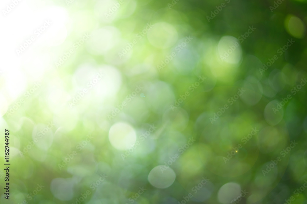 Obraz premium Abstract circular green bokeh backround