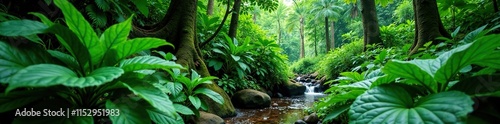 Dense foliage of Dischidia and other plants in a tropical rainforest garden, garden, leafygreenery, densefoliage photo