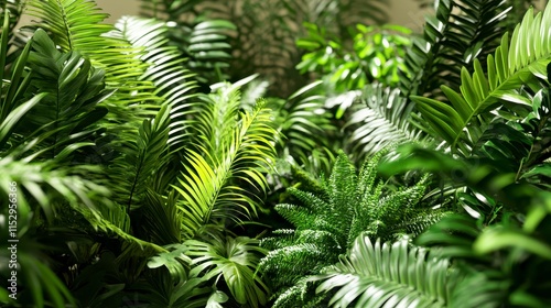 Lush green tropical foliage, various plants, leaves, sunlight.