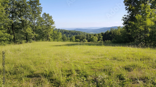 Serene Mountain Meadow: A p...