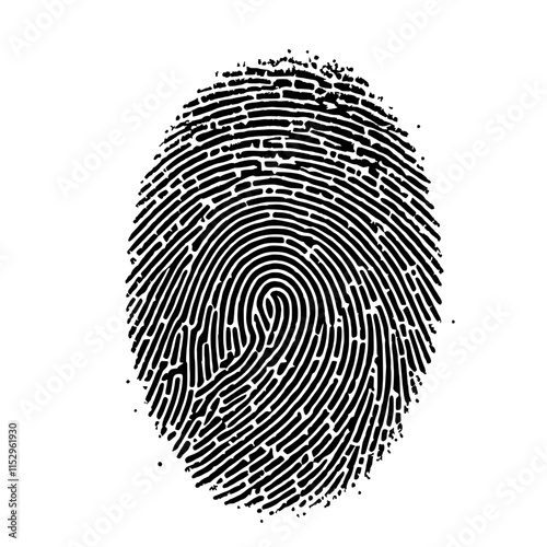 Fingerprint Identity: A detailed close-up shot of a fingerprint, showcasing its unique and intricate pattern.  Ideal for concepts related to security, identity, and individuality.