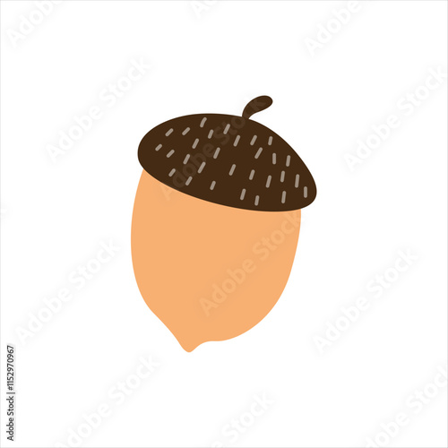 Acorn Seeds of Oak Tree on Forest Floor