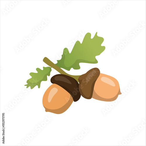 Acorn Seeds of Oak Tree on Forest Floor