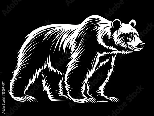 Majestic Bear Silhouette illustration photo