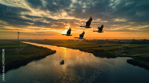wild geese flying over a polder landscape