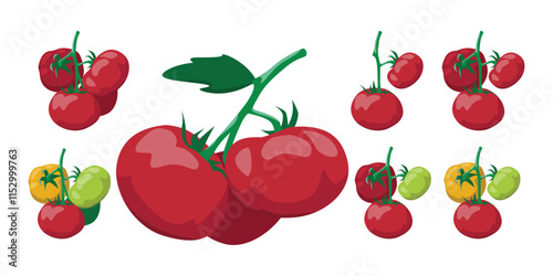 Vector Illustration of Bright Red Tomatoes
