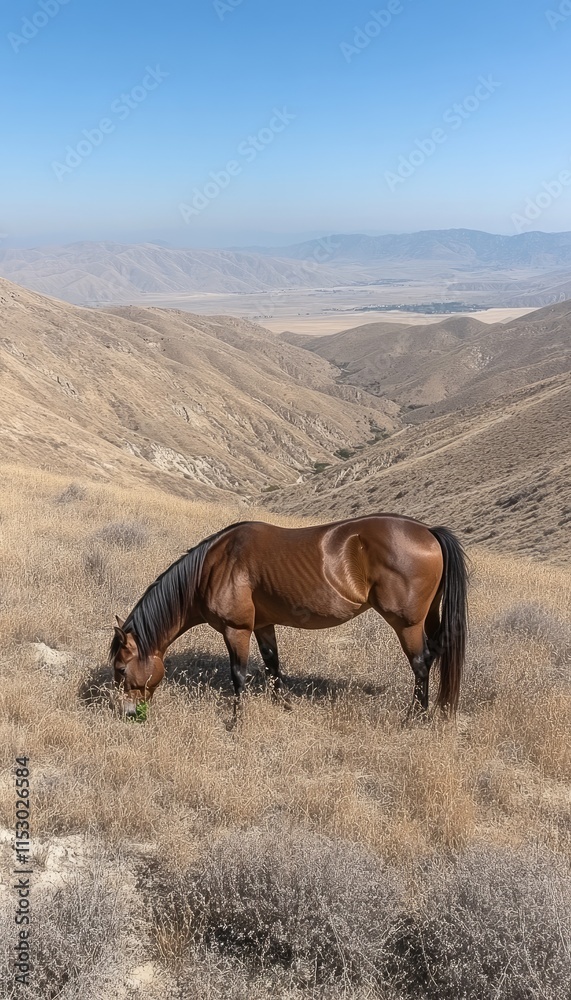 A brown horse grazes on dry grass in a mountainous landscape under a clear blue sky. A brown horse grazes on dry grass in a mountainous landscape under a clear blue sky.
