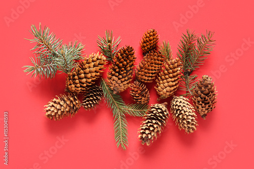 Pine cones and fir branches...