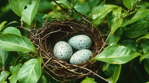 A close-up view of a bird's nest containing three speckled eggs surrounded by vibrant green leaves in a natural setting.