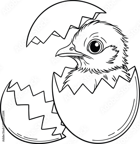 Baby bird breaking free from shell, eyes peeking out