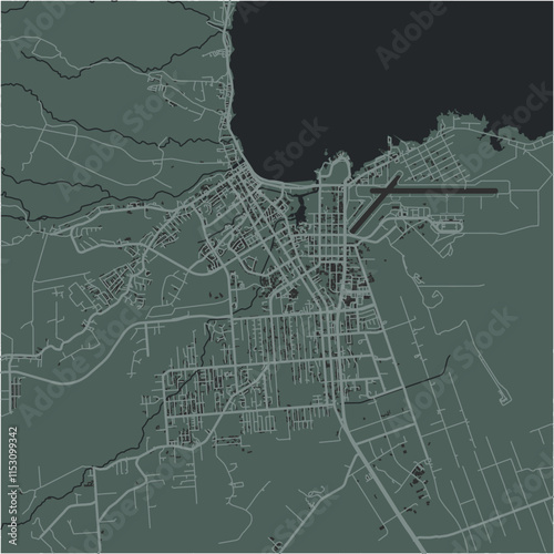 Map of Hilo in Hawaii in a smooth dark style. Contains layered vector with roads water, parks, etc.