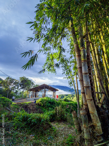 landscape of the mountains with trees and flowers, part 2