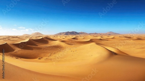 Expansive Desert Landscape Under a Clear Blue Sky
