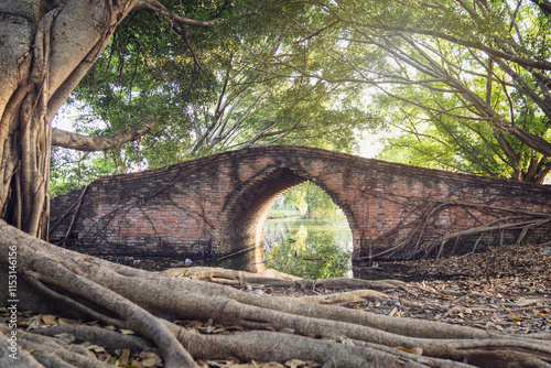 Pencil Forest Bridge is old antique brick bridge over the small canal built during the Ayutthaya Kingdom era of Present-Day Thailand. photo