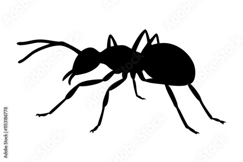  black  silhouette of Ant