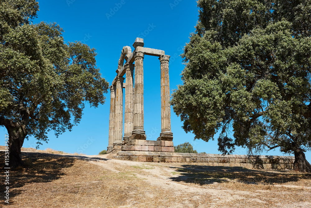 Ancient Roman temple ruins of Augustobriga. Caceres, Extremadura. Spain
