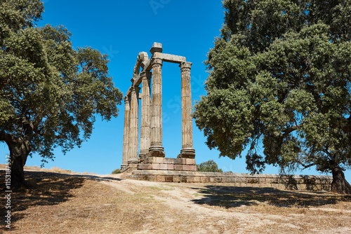Obraz na płótnie Ancient Roman temple ruins of Augustobriga. Caceres, Extremadura. Spain w salonie