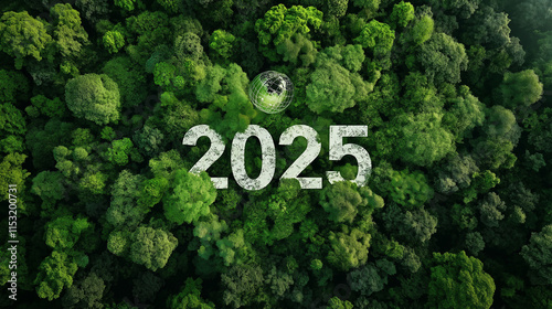 Aerial View of Green Forest with 2025