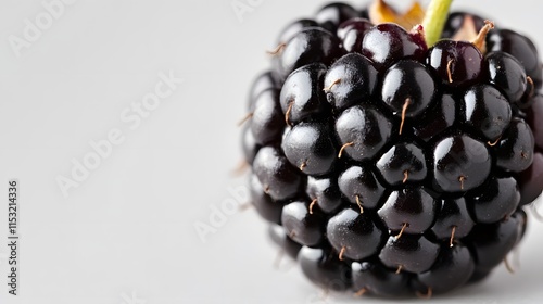 A Single Ripe Blackberry Close Up Macro Shot photo