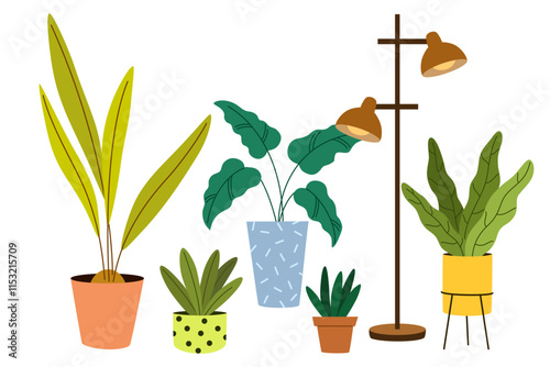 Potted house plants composition with lamp. Home and office interior houseplants. Modern green leaf, succulent, cactus decoration in planters, flower pots.  Vector illustration isolated