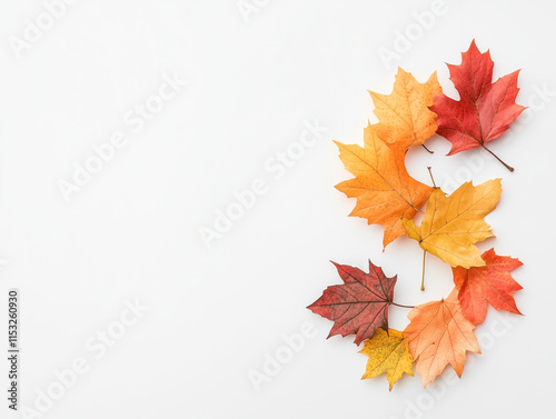 autumn leaves background