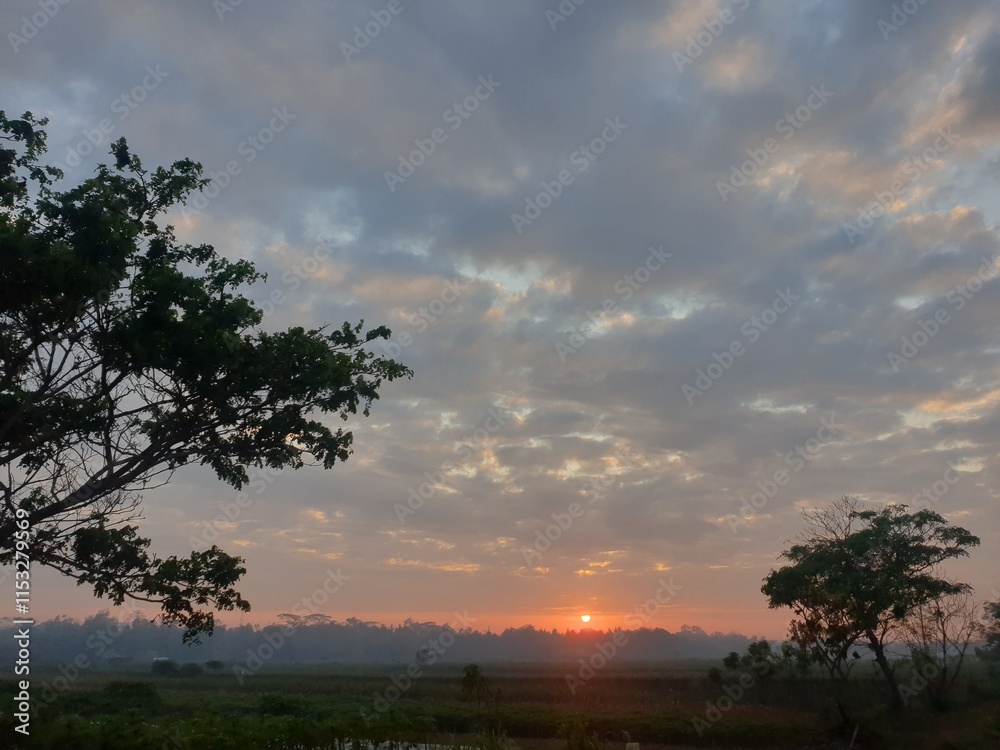 Fototapeta premium sunset in the serengeti country