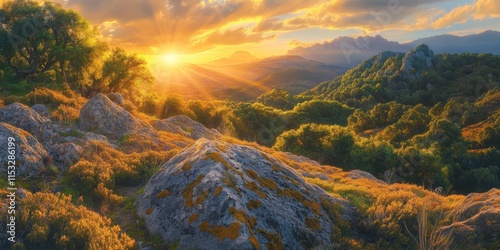 As the sunset unfolds, warm golden orange rays spill across the valley, illuminating lichen covered rocks and lush foliage during this stunning sunset moment. Experience the beauty of sunset. photo