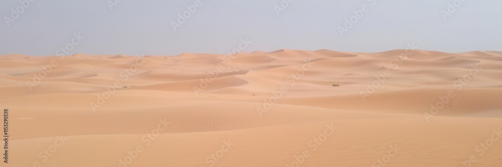 Expansive View of Golden Sand Dunes Under Clear Blue Sky Capturing the Serenity and Beauty of a Desert Landscape Expansive View of Golden Sand Dunes Under Clear Blue Sky Capturing the Serenity and Beauty of a Desert Landscape