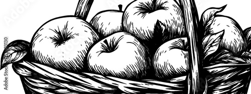 Vintage woodcut illustration showcasing a basket overflowing with fresh apples