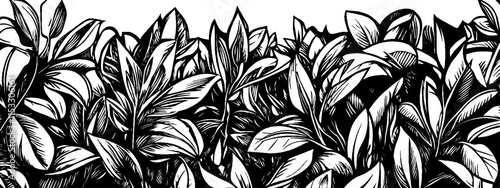 Vintage woodcut illustration depicting a vibrant, dense jungle landscape with lush foliage