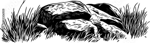 Vintage woodcut illustration depicting a detailed patch of moss on rocks