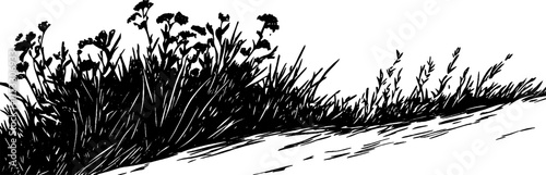 Vintage woodcut illustration of a wildflower patch in a natural setting