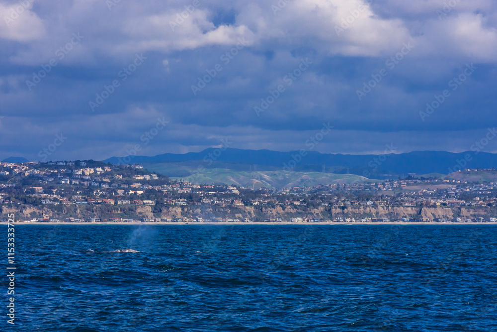 A cloudy sky with a blue ocean in the background A cloudy sky with a blue ocean in the background