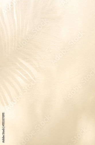 Monotone background with palm tree leaf shadows