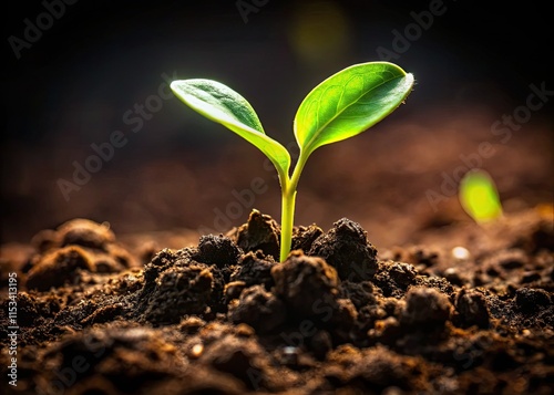 Fresh microgreens burst from rich soil, capturing the essence of spring and healthy, natural food. photo