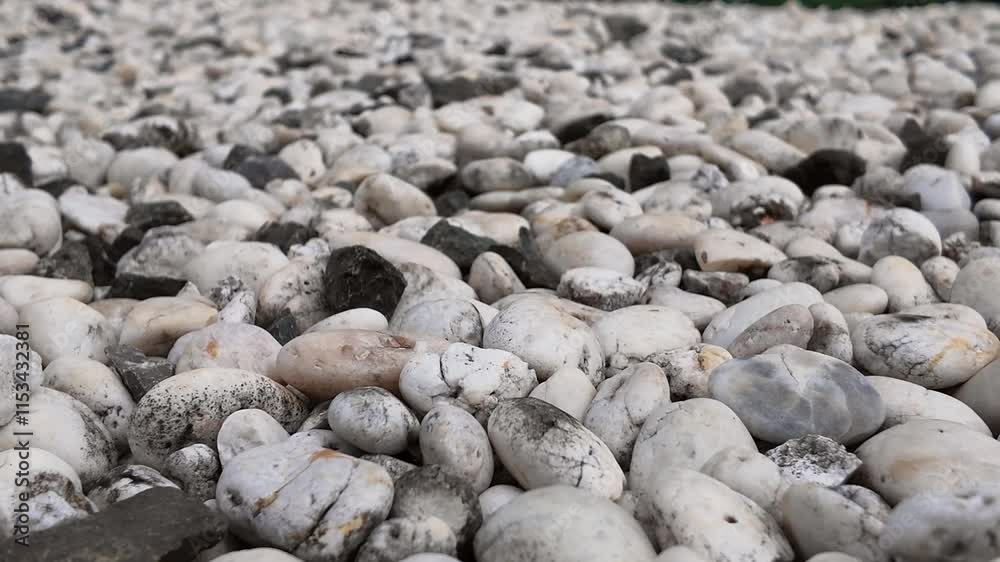 White Stones Texture: A close-up shot of a collection of smooth, white stones, showcasing their natural texture and variations in shades. Perfect for backgrounds or design elements. White Stones Texture: A close-up shot of a collection of smooth, white stones, showcasing their natural texture and variations in shades. Perfect for backgrounds or design elements.