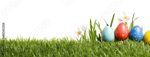 PNG Easter eggs in grass field plant celebration springtime. photo