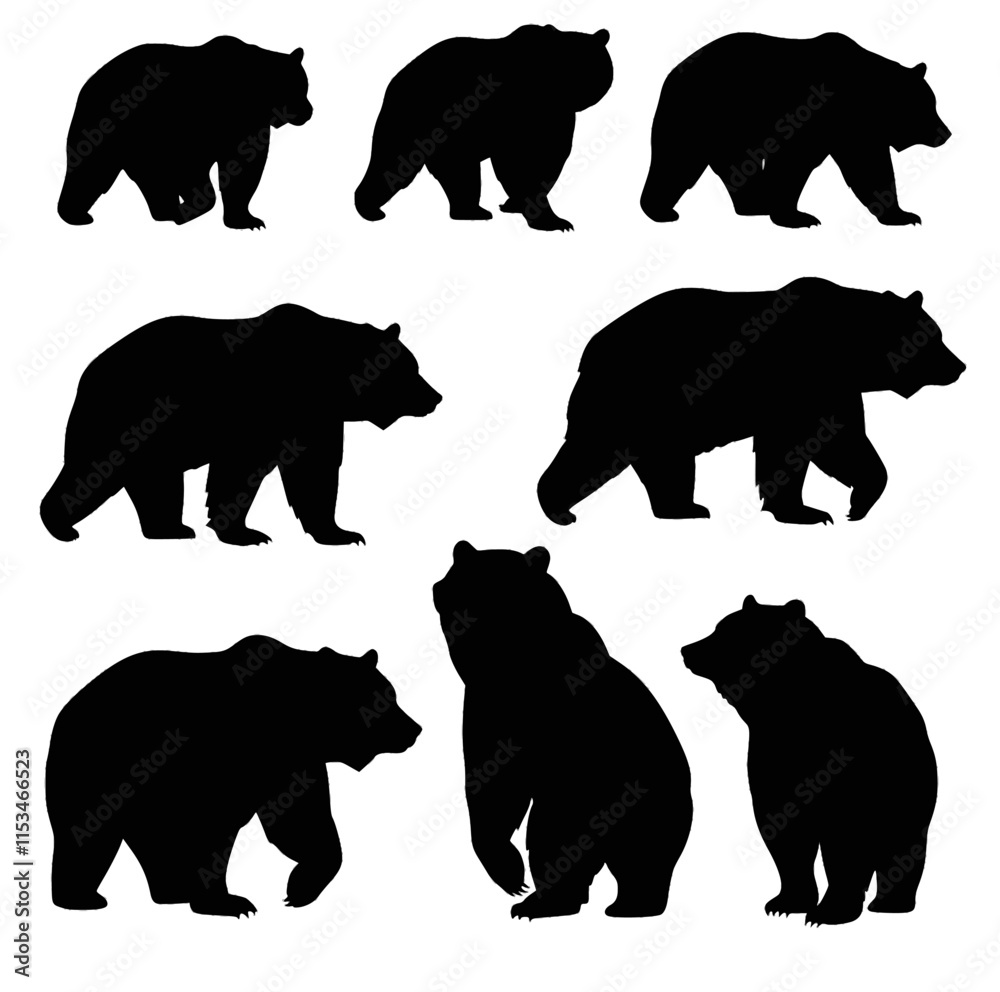 Fototapeta premium set of Bear silhouette Vector On White Background.