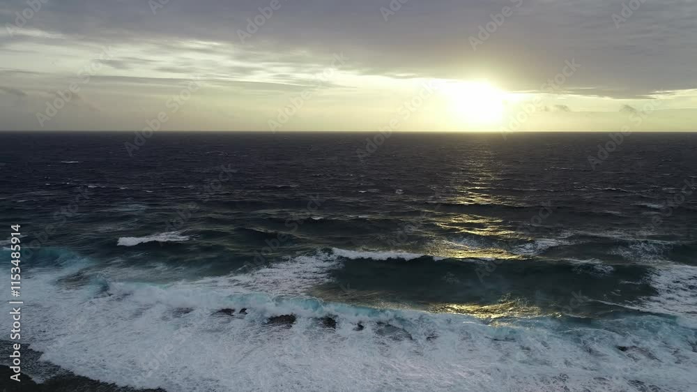 Drone pullback view over foamy sea waves in empty beach with a forest of palm trees at sunset