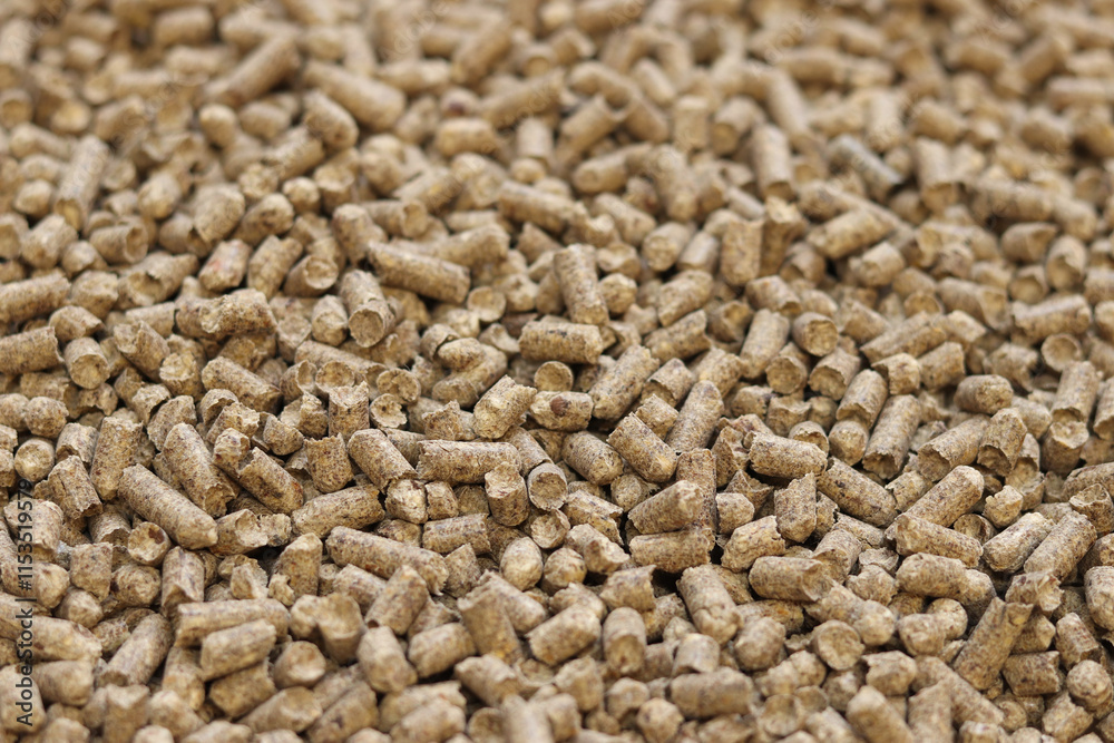 Wood filler for cat toilet, selective focus. Hygienic filler for pets. Pressed wood, large granules. Pellets. A pile of wood pellets. Filler for dogs, cats, domestic rodents Wood filler for cat toilet, selective focus. Hygienic filler for pets. Pressed wood, large granules. Pellets. A pile of wood pellets. Filler for dogs, cats, domestic rodents