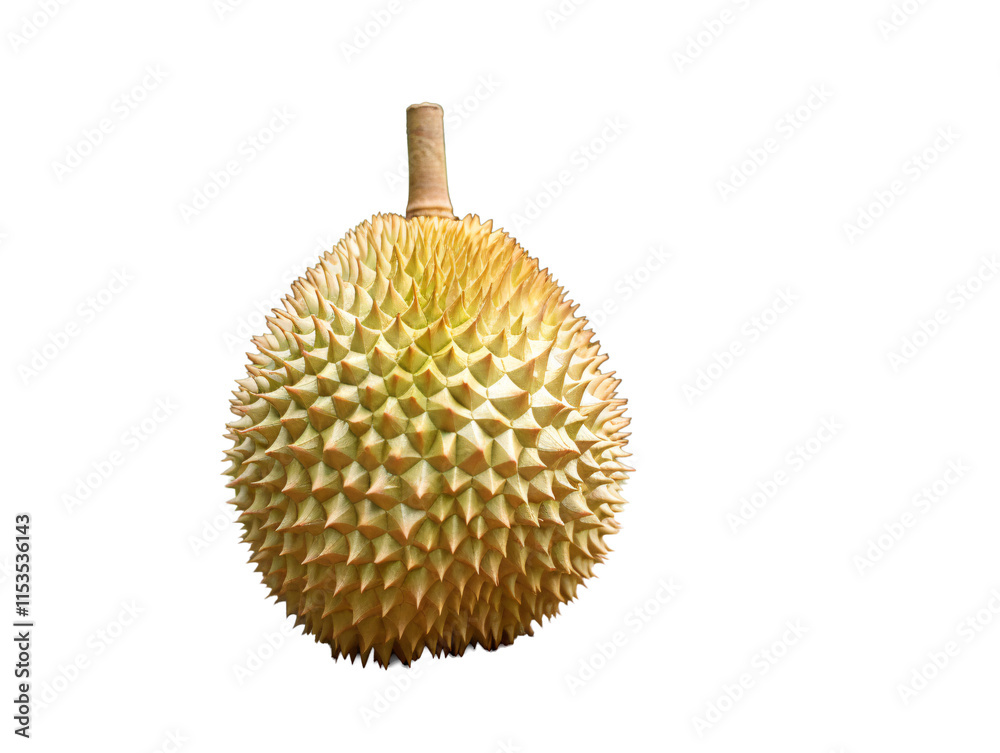 a yellow fruit with spikes a yellow fruit with spikes