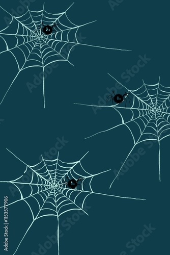 spider web in the dark