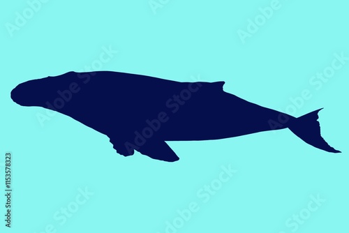 illustration of a whale