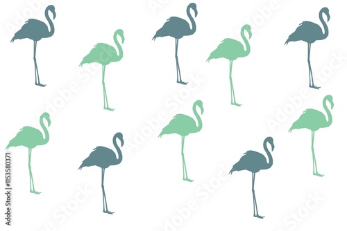 set of flamingos