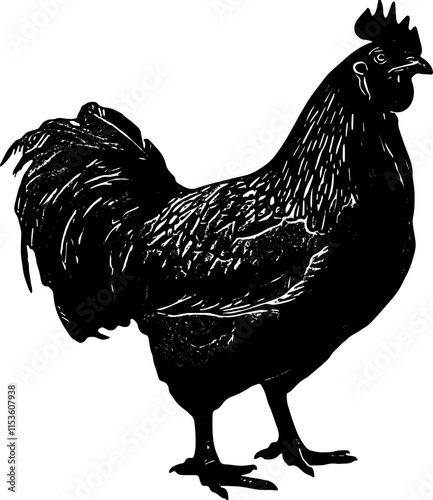 Animal ilustrator