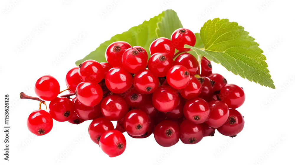 a bunch of red berries with green leaves a bunch of red berries with green leaves