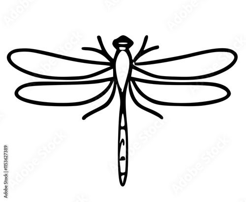 dragonfly illustration