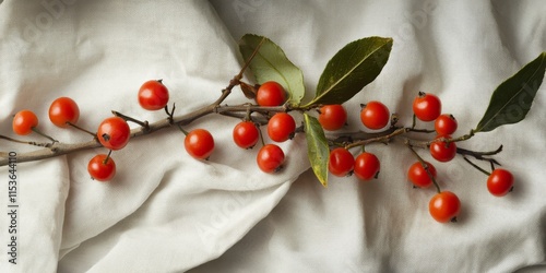 Branch of buckthorn featuring cup berries, emphasizing its medicinal properties. This buckthorn branch highlights the medical usefulness of its berries, elegantly showcased on a strip of napkin.