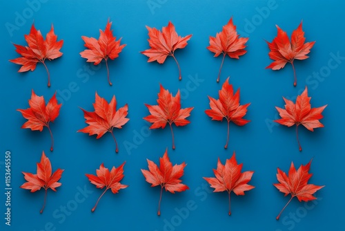 Red maple leaves arranged in a grid pattern on a blue background. photo