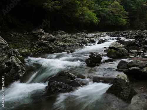 渓谷を流れる水